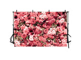 Pretty Pink Rose Flower Photography Backgrounds IBD-246932