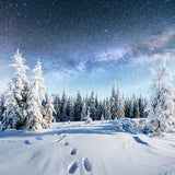 Snowy Fir Forest Under The Stars Landscape Backdrop IBD-246934 size:1x1