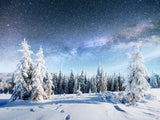 Snowy Fir Forest Under The Stars Landscape Backdrop IBD-246934