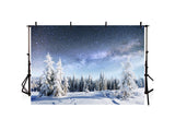 Snowy Fir Forest Under The Stars Landscape Backdrop IBD-246934