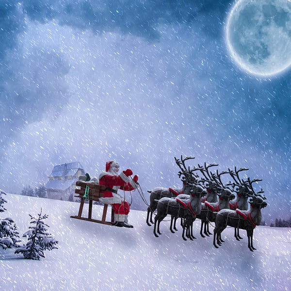 Christmas Santa Under Moon Wilderness Forest Backdrop IBD-246936 size:1x1