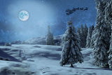 Snowy Grand Fir Forest Under Moon Landscape Backdrop IBD-246939 size:10x6.5