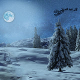 Snowy Grand Fir Forest Under Moon Landscape Backdrop IBD-246939 size:10x10