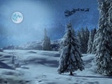 Snowy Grand Fir Forest Under Moon Landscape Backdrop IBD-246939 size:6.5x5
