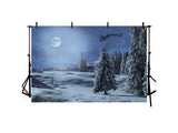 Snowy Grand Fir Forest Under Moon Landscape Backdrop IBD-246939