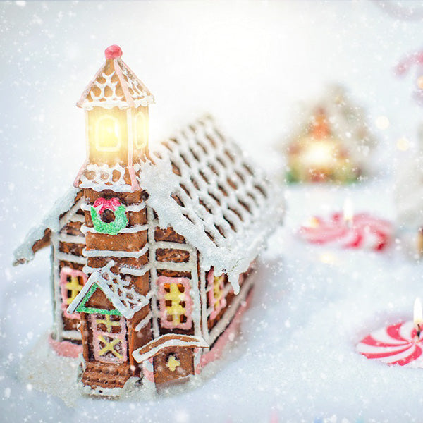 Christmas Gingerbread House Colorful Backdrop IBD-246944 size:10x10