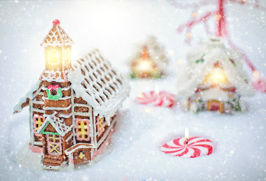 Christmas Gingerbread House Colorful Backdrop IBD-246944 size:7x5