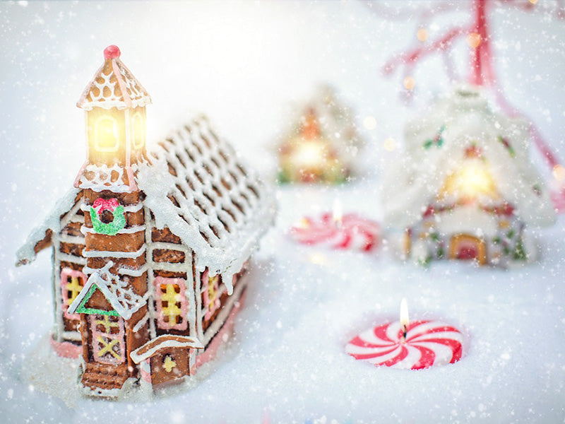 Christmas Gingerbread House Colorful Backdrop IBD-246944 size:6.5x5