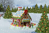 Cartoon Green Christmas Tree And Gingerbread House Backdrop IBD-246951 size: 10*6.5