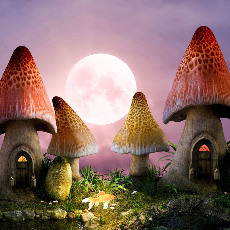 Fairy Tale Mushroom Full Moon Night Backdrop IBD-246957 size: 10x10