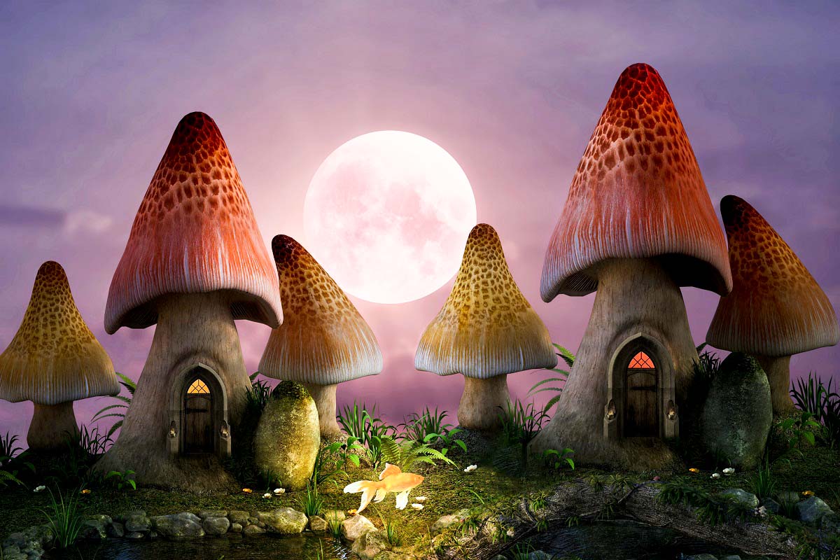 Fairy Tale Mushroom Full Moon Night Backdrop IBD-246957 size: 10x6.5
