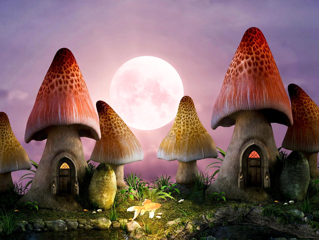 Fairy Tale Mushroom Full Moon Night Backdrop IBD-246957 size: 6.5x5