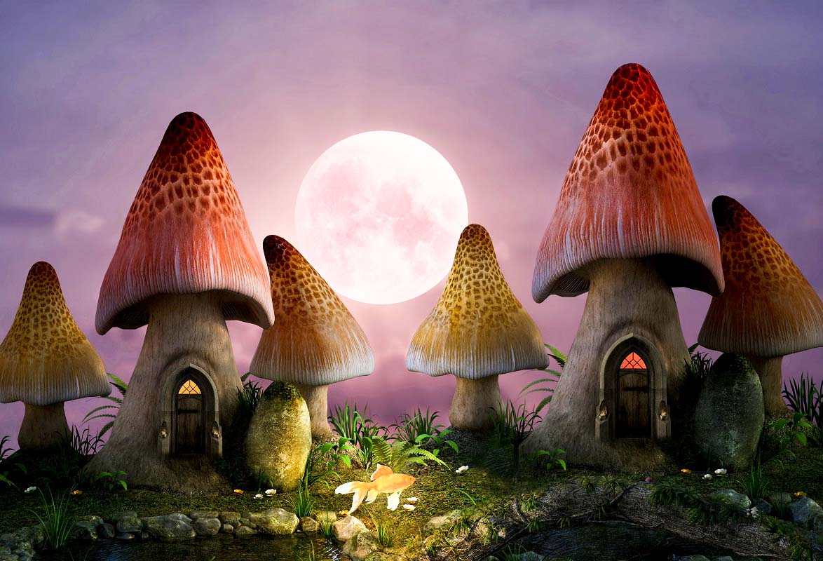 Fairy Tale Mushroom Full Moon Night Backdrop IBD-246957 size: 7x5