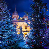 Christmas Trees Surround Villa House Backdrop IBD-246970 size: 10x10