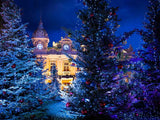 Christmas Trees Surround Villa House Backdrop IBD-246970 size: 6.5x5