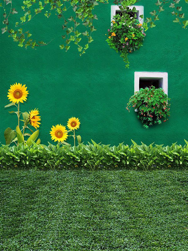 Sunflower Against Green Wall Photo Backdrop IBD-246975 size: 5x6.5