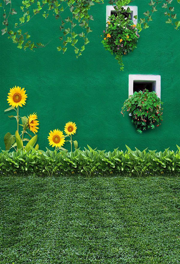 Sunflower Against Green Wall Photo Backdrop IBD-246975 size: 5x7