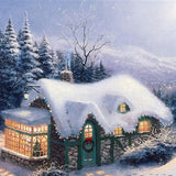 Christmas House In The Woods Photo Backdrop IBD-246993 size: 10x10