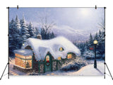Christmas House In The Woods Photo Backdrop IBD-246993