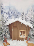 Winter Snow Scenery Forest Photo Backdrop IBD-247009  3x
