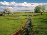 Backdrop by Theme Cloud Backdrops Farm Backgrounds J00807-E - iBACKDROP-Backdrop by Theme, Cloud Backdrop, Farm Backdrop, Sky Backdrops, Skyline Backdrop, Western Backdrop, Western Backdrops