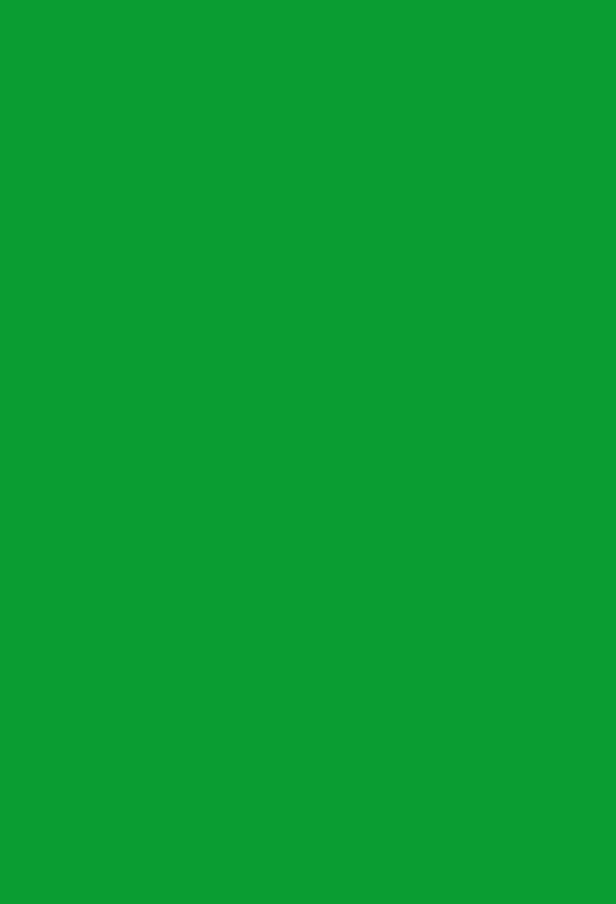 Green Backdrops Pure Color Background Photo Booth Backdrops J03744