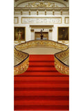 Red Carpet Backdrops Party Backdrops Gold Background lv-2731 size:3x6
