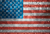 Festival Backdrops Patriotic Backdrops Statue Background LM-H00131 - iBACKDROP