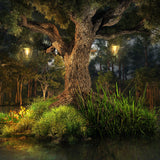Landscape Background Old Oak Tree with Two Lanterns Photo Backdrop IBD-20007