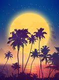 Landscape Background Retro Style Full Moon Rise with Palm Silhouette Photography Backdrop IBD-20137