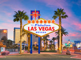 Las Vegas City Tour Photography Backdrops IBD-24260