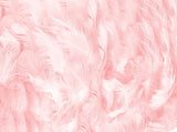 Light Pink Background Feather Texture Photography Backdrop for Baby Shower IBD-19879 - iBACKDROP-Baby Kid Backdrops, backdrop for photography, backdrop photography, Beautiful Backdrops, Feather Texture Backdrop, For Photography, Light Pink Background, Photography Background, Portrait Photography backdrops