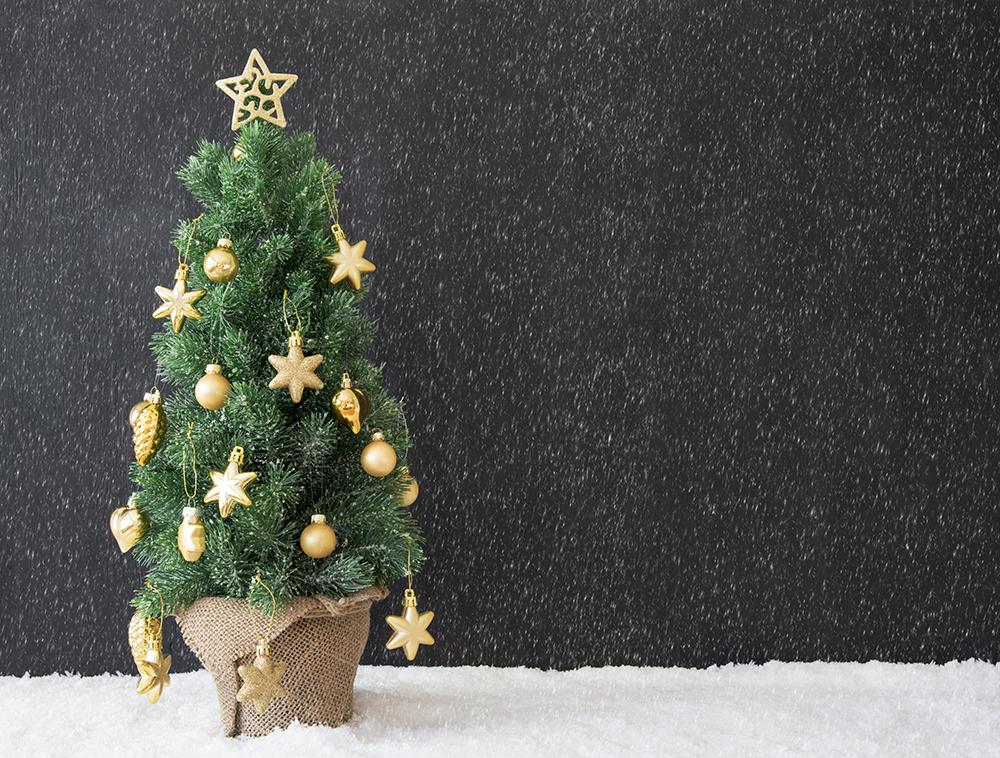 Lovely Mini Christmas Tree Background Festival Backdrops IBD-19293