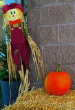 Lovely Scarecrow Girl Background Farm Backdrop for Thanks giving Day Theme IBD-19679