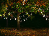 Maple Leaf Tree With Light String For Party Or Valentine's Day Backdrop IBD-24403