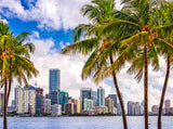 Miami City Shunshine River Photography Backdrops Background IBD-24263