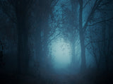 Mysterious Black Backdrop Fairytale Forest Background IBD-20182 - iBACKDROP-Backdrop, Background, Forest backdrop