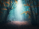 Mysterious Forest Backdrop Autumn Leaves Background IBD-20183