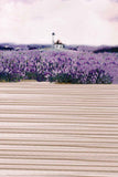 Season Backgrounds Summer Backdrops Purple Backdrop Lavender N10508-E