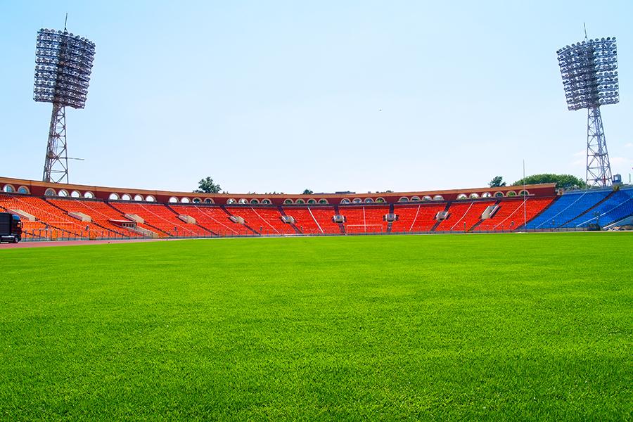 Open Field Green Grass Sports Background Football Field Photo Backdrop IBD-19758
