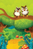 Owl Cartoon Background Baby Backdrop for Photography IBD-19586