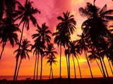 Palm Tree Silhouette Photography Backdrop on Tropical Beach at Sunset Time IBD-20140