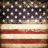 Patriotic Background American Flag Star Bar Symbol of USA Portrait Photo Backdrop IBD-19739