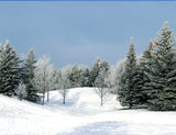 Pine Forest Surounded Snow Scenery Background For Photography IBD-24596