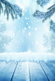 Pine Needle in Christmas Background Winter backdrop IBD-19604