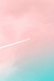 Pink Gradient Abstract Portrait Backdrop For Photography IBD-24389