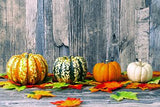 Pumpkin Backgrounds of  Different Sizes Photography Backdrops IBD-19683