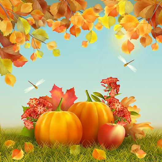 Pumpkin Dragonfly Background Thanksgivign Autumn Backdrops IBD-19618