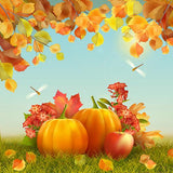 Pumpkin Dragonfly Background Thanksgivign Autumn Backdrops IBD-19618