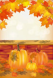 Pumpkin Painting Background for Thanksgiving Day Theme Photography Backdrop IBD-19676